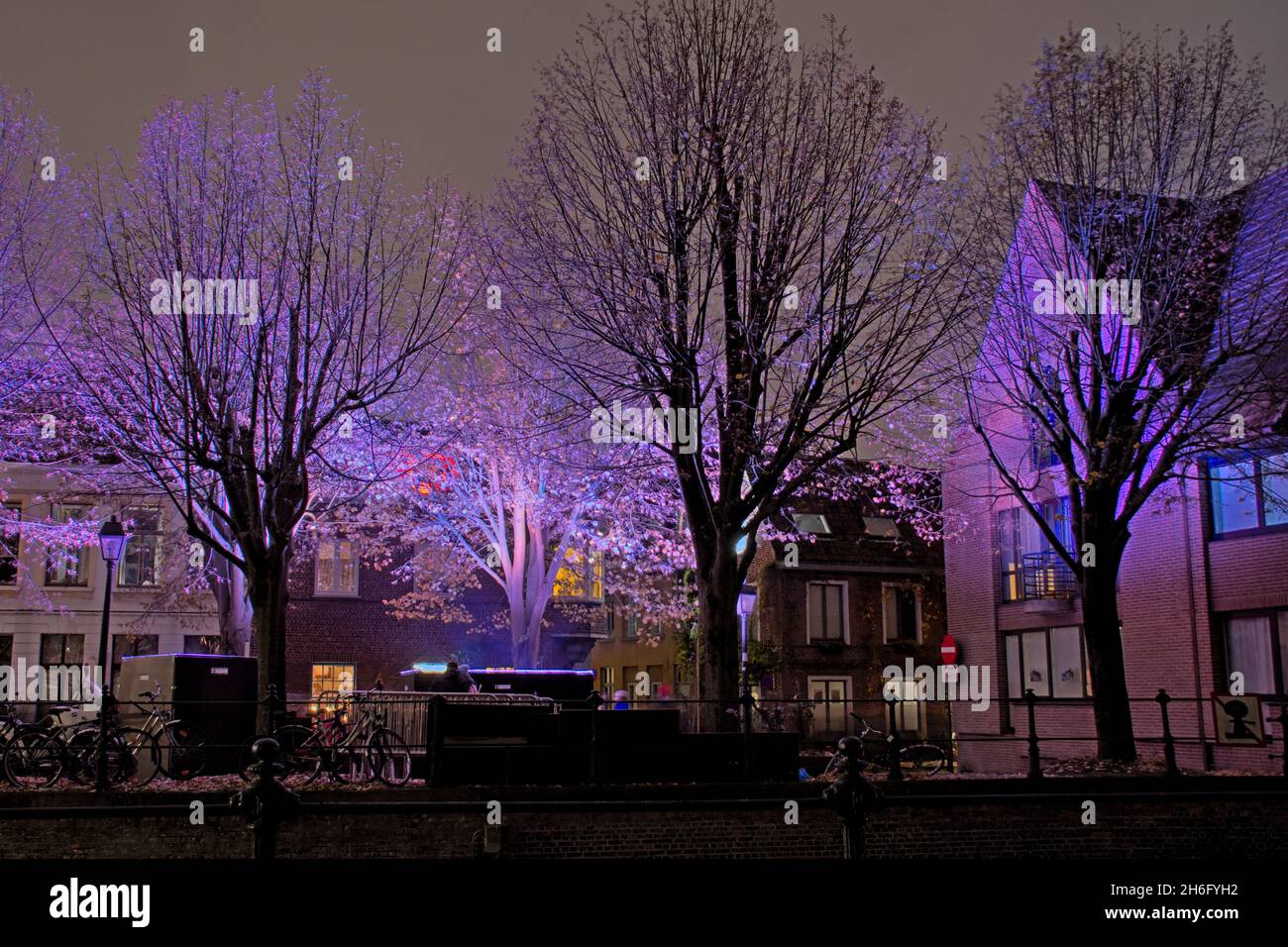 `Still entity`, part of Ghent light festival 2021. Trees and houses in colourfull light at night Stock Photo